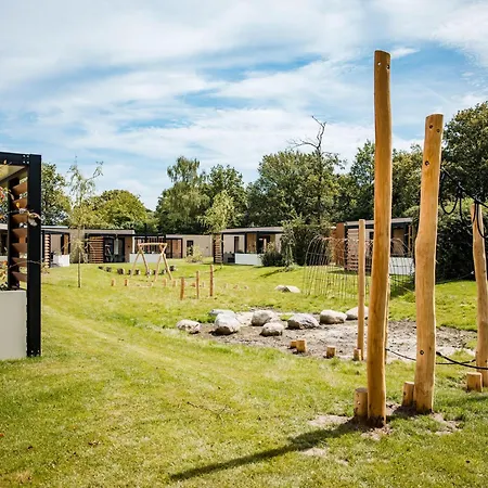 In Veluwe Near National Park *