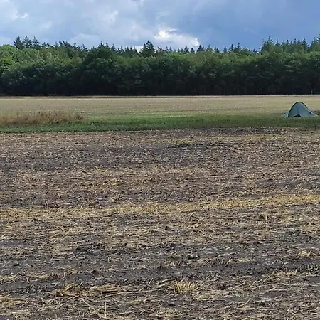 In Veluwe Near National Park Дом отдыха *