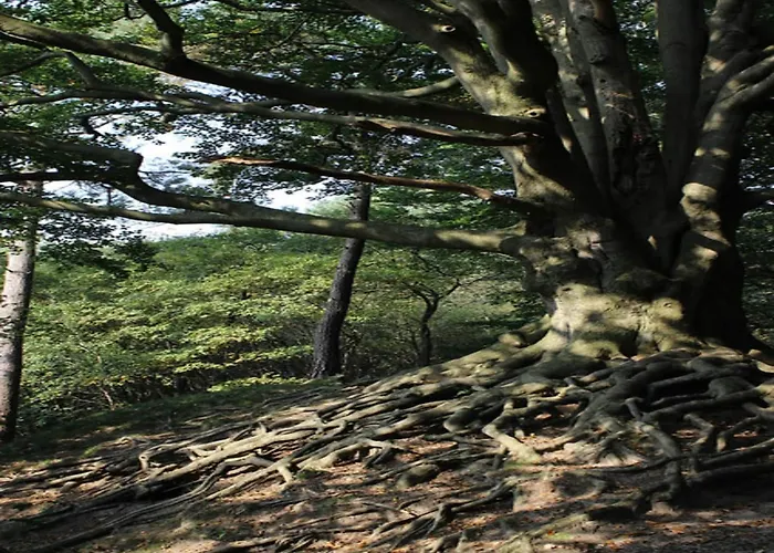 In Veluwe Near National Park * فورتهاوزن