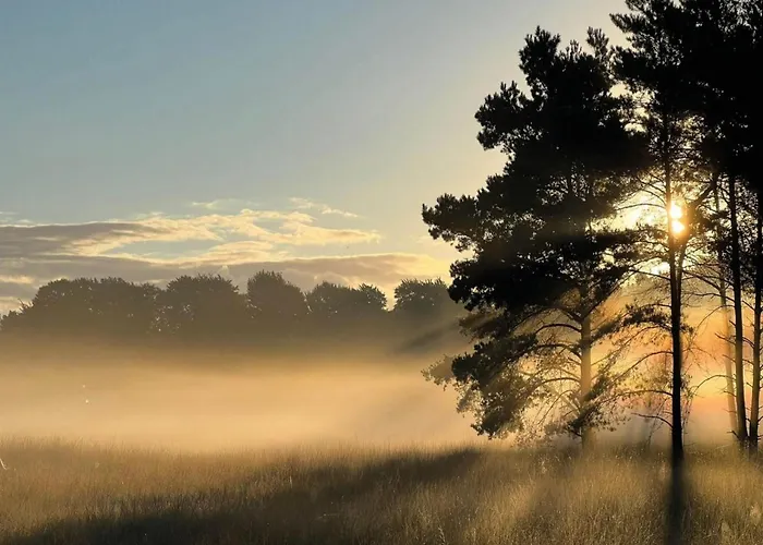 In Veluwe Near National Park فورتهاوزن