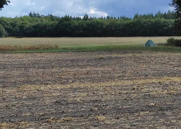 In Veluwe Near National Park بيت للعطل *