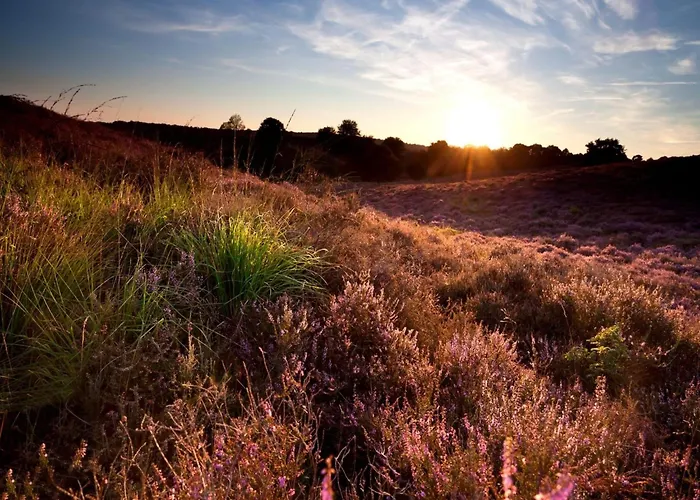 In Veluwe Near National Park بيت للعطل