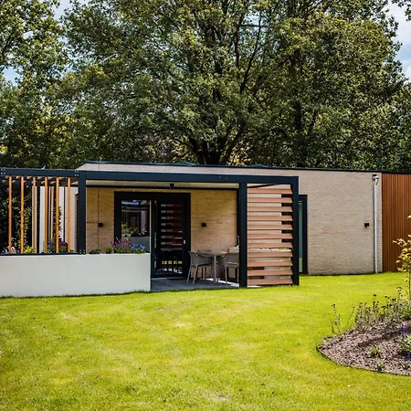 In Veluwe Near National Park *