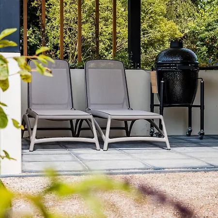 In Veluwe Near National Park 福尔特赫伊曾