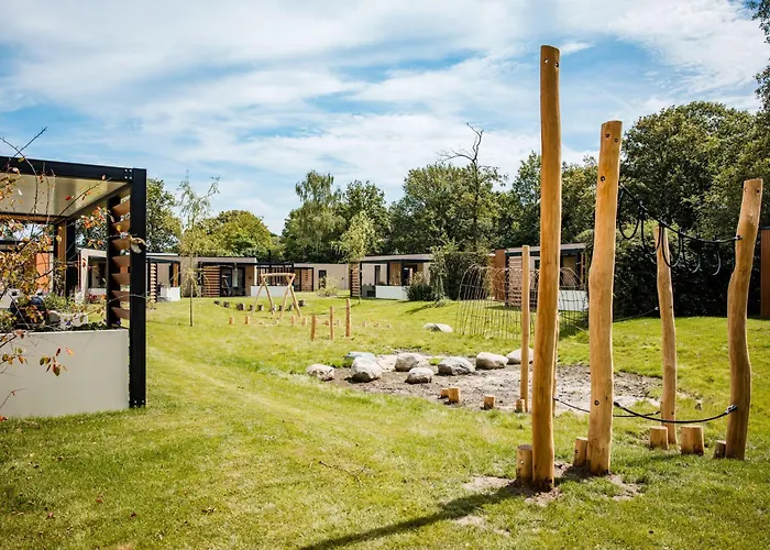 In Veluwe Near National Park *