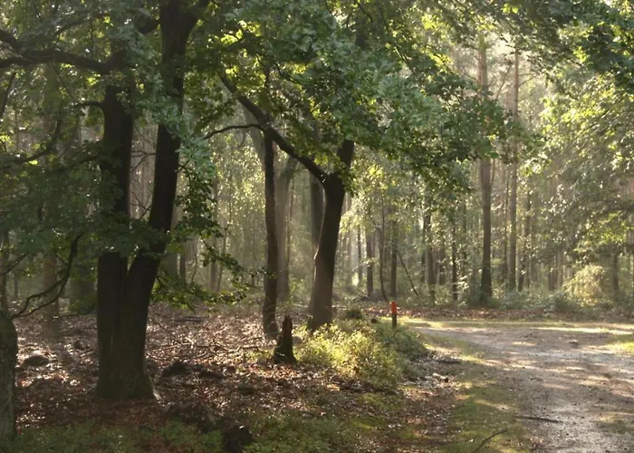 Casa vacanze In Veluwe Near National Park