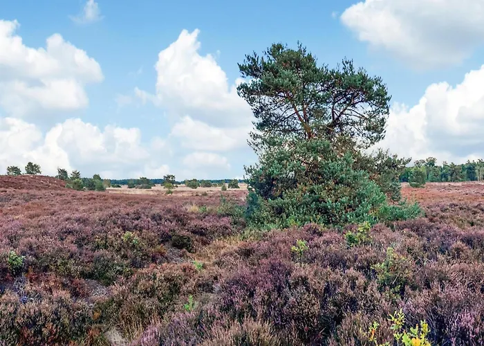 In Veluwe Near National Park Voorthuizen