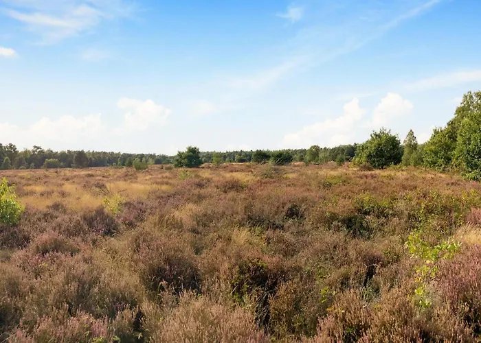 In Veluwe Near National Park * Voorthuizen