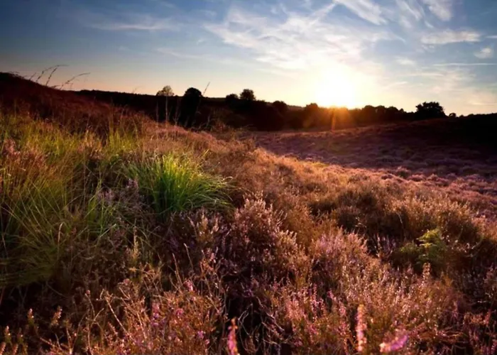 Casa vacanze In Veluwe Near National Park *