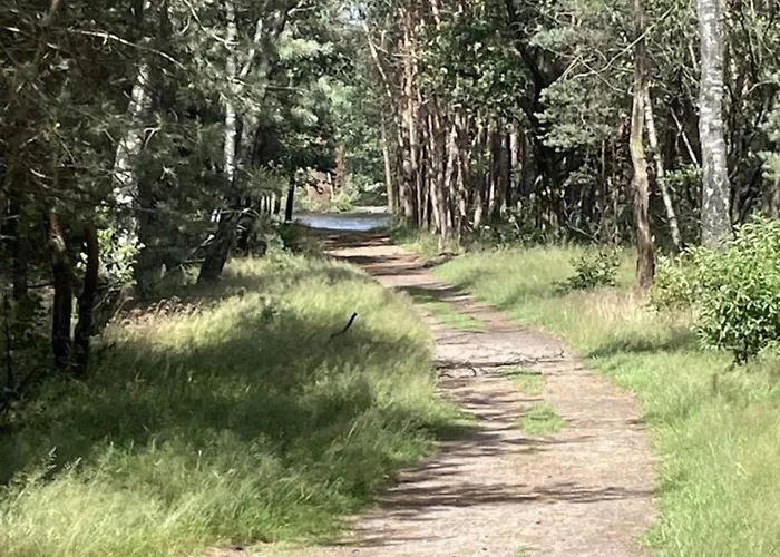 In Veluwe Near National Park * Voorthuizen